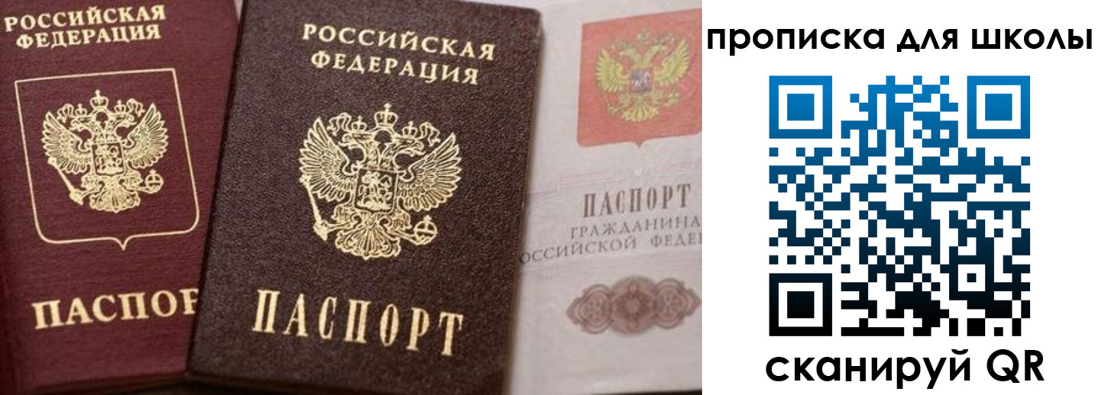 прописка законно в Павловске